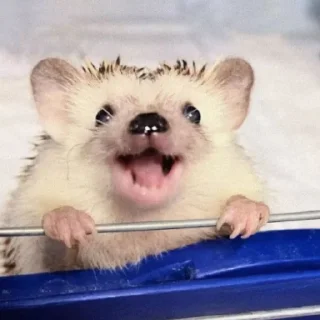 😀