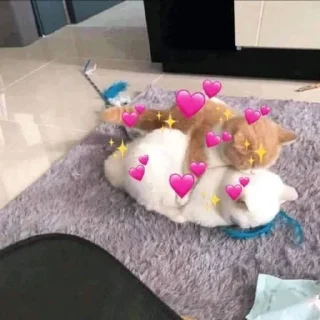 💞