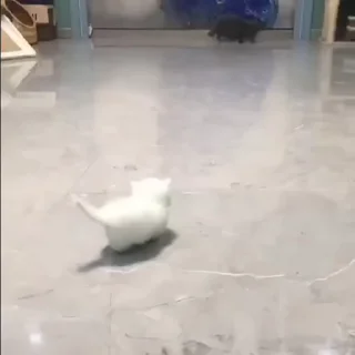 🌟