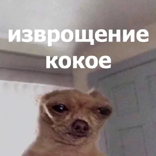 🫣