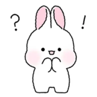 🐇