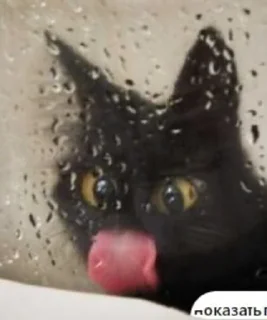 😜