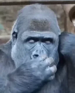 🤡