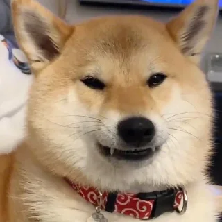 👹