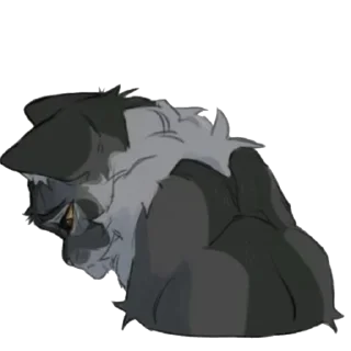 🐱