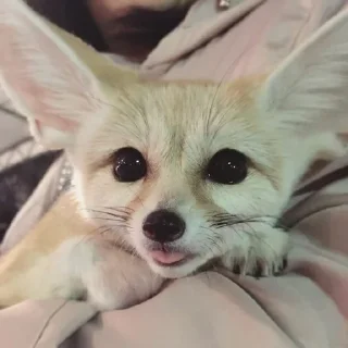 😋