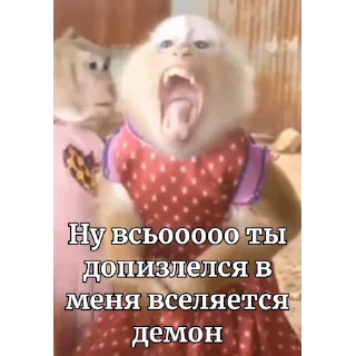🐵