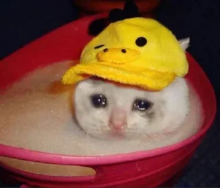 😭