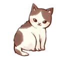 Kitten daily 🐈