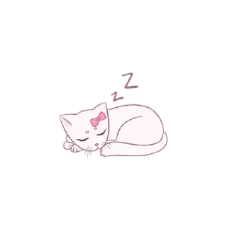 🐈