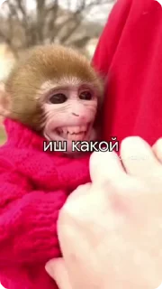 😁