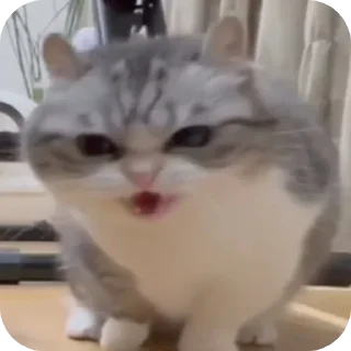 🤬