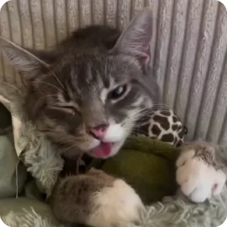 🚼