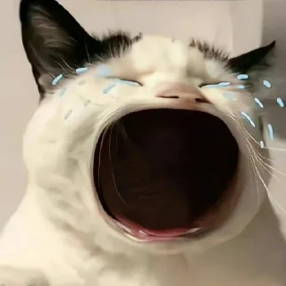😭