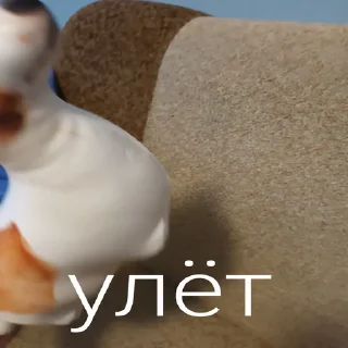 😮