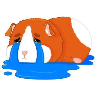 😥