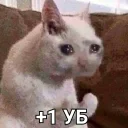 💪