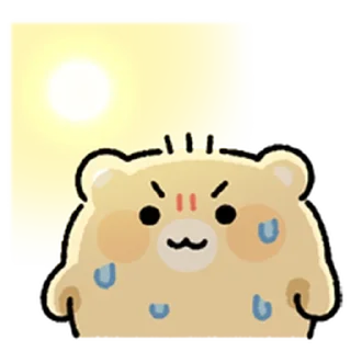 ⭐