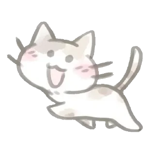 🐾