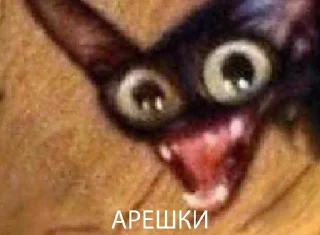 🌰