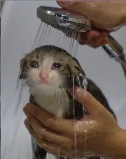 😭