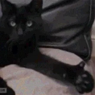 👍