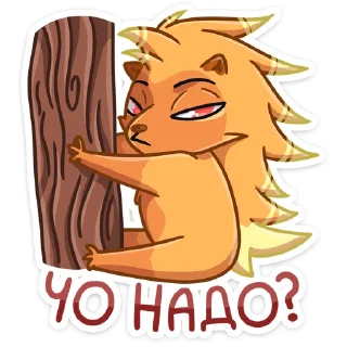 ❓