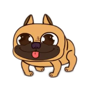 🐶