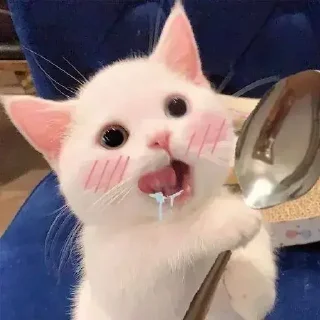 😋