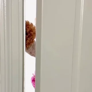 😏