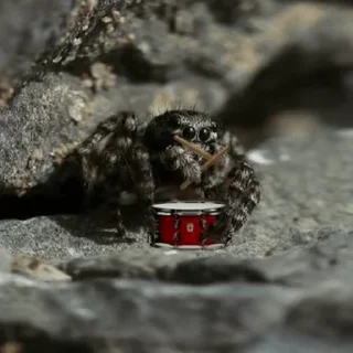 🥁