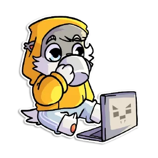 💻