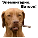 🚬
