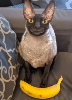 🍌