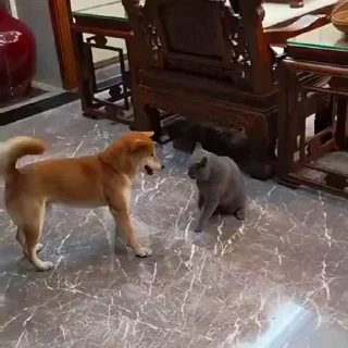 😁