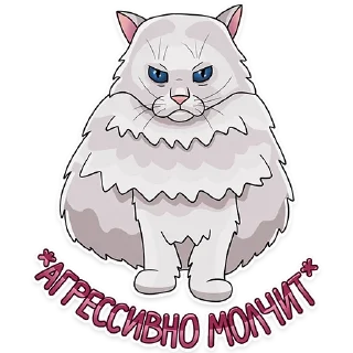 😾