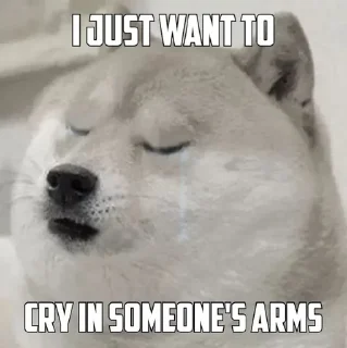 😭