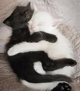 🎀
