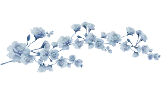 🌸