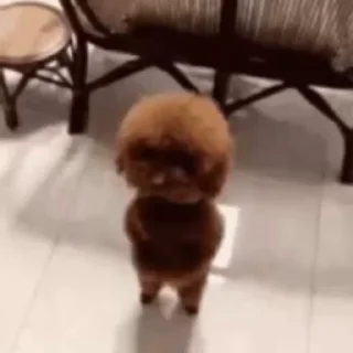 🕺