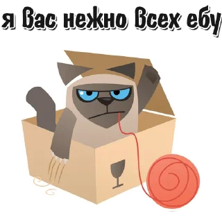 🐱