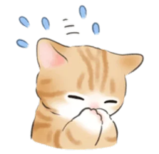 🐱