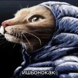 🥲