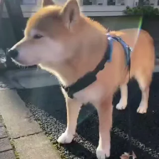 😎