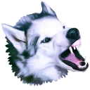 🐺