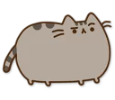 Pusheen 3.0