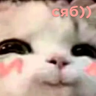 ☺️