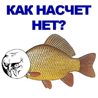 🐠