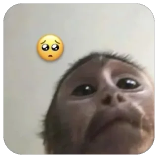 🥺
