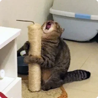 😩
